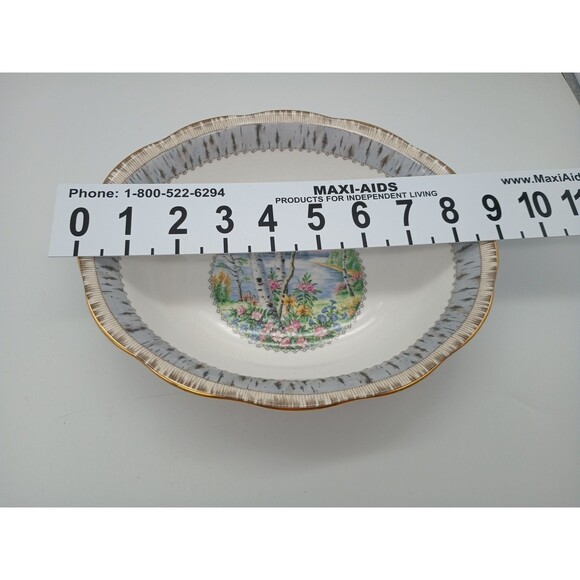 Royal Albert Silver Birch Oval Vegetable Serving Dish Bone China 1940 - Picture 4 of 6
